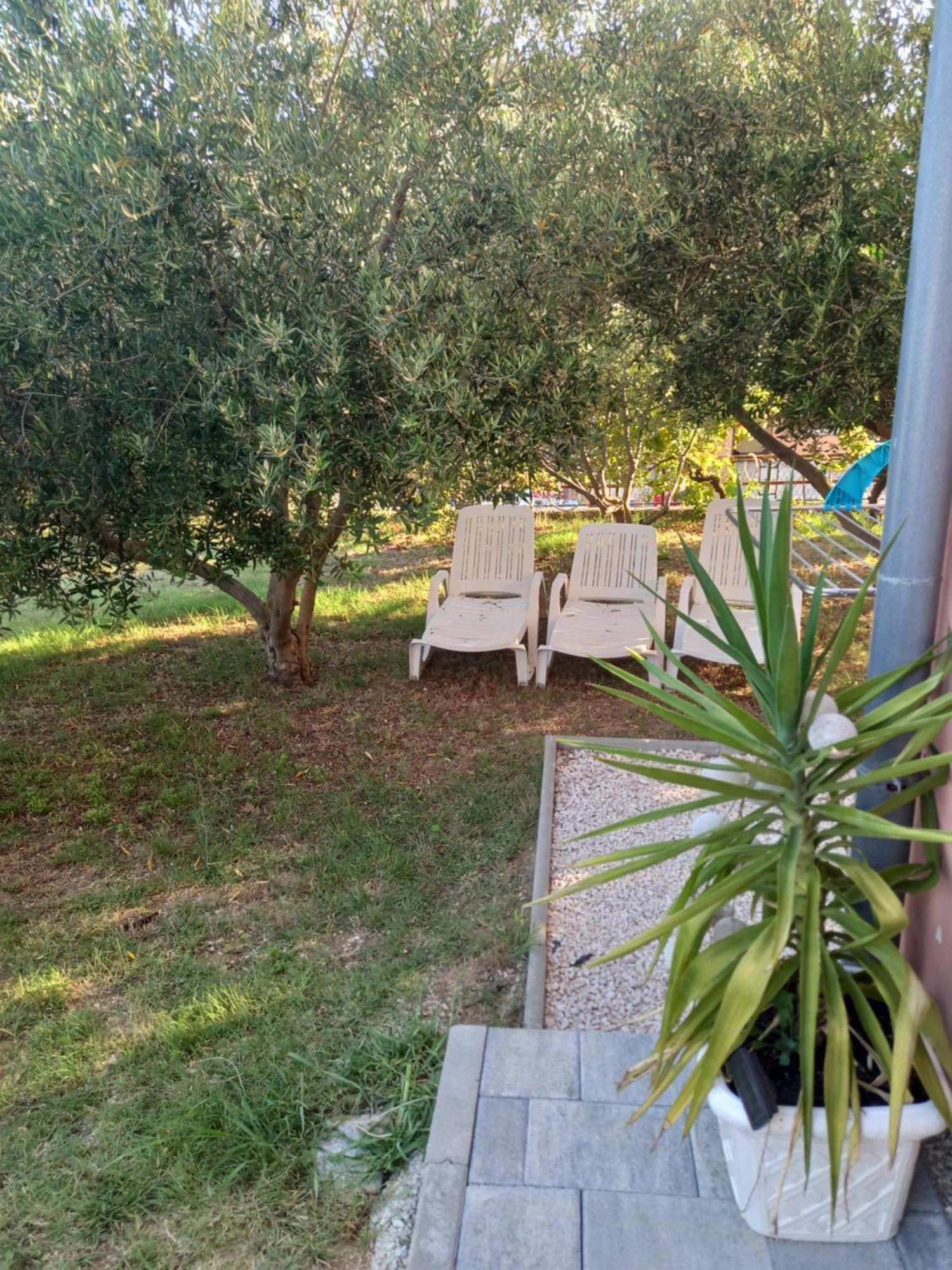 Dani Apartment Zadar Room photo